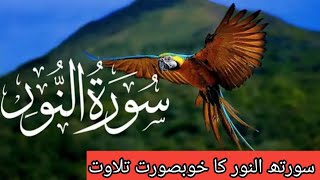 Surah an Noor  Surah annur reaction سورتھ النور Beautiful reaction [upl. by Oregolac]