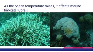 Thermal expansion does affect corals [upl. by Rodger307]