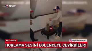 HORLAMA SESİNİ EĞLENCEYE ÇEVİRDİLER [upl. by Wei507]