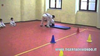 ASD TIGER Play Taekwondo per Cuccioli 35 anni [upl. by Yelrac583]