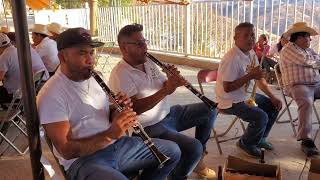 el mero dia de san juan 🎺con la banda de alpoyecancingo guerrero [upl. by Anadal]