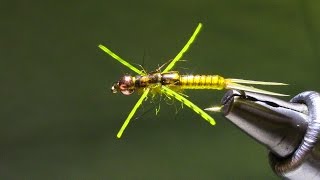 Little Yellow Stonefly [upl. by Zilevi366]