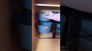 Kitchen Storage Secrets Revealed Masterclass Tips You Can’t Missquot [upl. by Zenger]