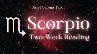 Scorpio TwoWeek Tarot Reading 5824 [upl. by Navanod694]