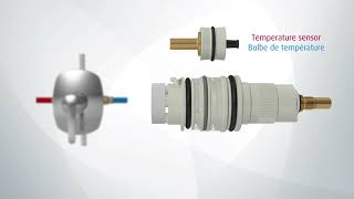 RiobelPRO®  Thermostatic pressure balanced [upl. by Mandy]