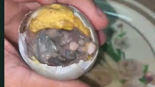 BALOT 13 EGG EMBRYO  ASMR EGGS FOOD FOODIE SATISFYING [upl. by Harriman]