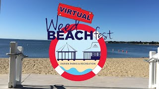 Weed Beach Fest 2020 [upl. by Atthia148]