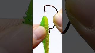 Remember best fishing bait tips fishing shorts [upl. by Enak]