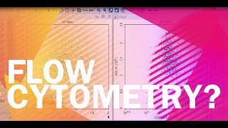 5 Reasons for NovoCyte Flow Cytometry [upl. by Ettevroc]