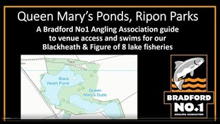 Queen Marys Ponds Fishing Access Guide [upl. by Roswald]