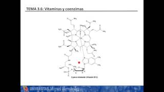 Lec367 Vitamina B12 umh1025 201516 [upl. by Garlan]