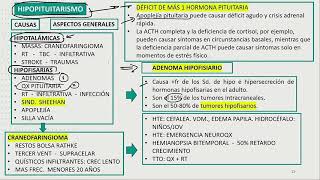 Endocrinología  Hipopituitarismo [upl. by Fransis653]