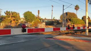 e park ave railroad crossing san ysidro ca san diego trolley siemens s700 [upl. by Nicodemus]