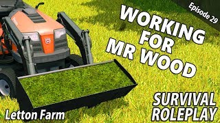 MOWER amp THE MINI LOADER  Survival Roleplay  Farming Simulator 17  Letton Farm  Ep 29 [upl. by Em16]