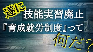 技能実習生廃止 育成就労制度って何？ 人材不足に外国人採用はKNDにお任せ下さい [upl. by Mavra200]