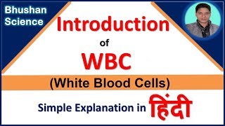 WBC White Blood Cells Introduction in Hindi  Bhushan Science [upl. by Yellas]