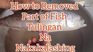 How To Removed Part of Fish Tulingan Poisonous [upl. by Corin]