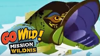 Go Wild Mission Wildnis  Ein Haus für eine Fledermaus Trailer  Folge 12 [upl. by Rustie]