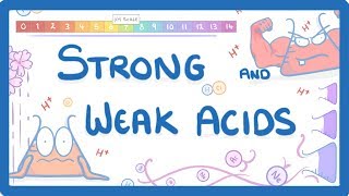 GCSE Chemistry  The pH Scale amp Strong vs Weak Acids Higher Tier 35 [upl. by Yci]