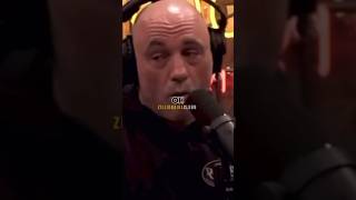 Terrifying footage of grizzly bear 🐻 joeroganexperience joerogan podcastclips storytime viral [upl. by Gally]