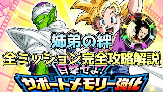 【ドッカンバトル】誰でも勝てる！目撃せよ！サポートメモリー強化「姉弟の絆」の全ミッション完全攻略解説！ [upl. by Enak]