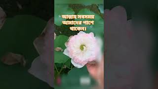 bipode keo thakok na thakok Allah always with us abutohaadnan islamicshorts [upl. by Noivaz]