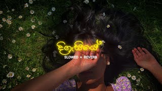 Digasiye  දිගැසියේ  Slowed  Reverb [upl. by Adine]