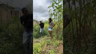 In the bush funfacts nolly comedyfilms funnyfacts funny nollywwod movie nollywoood funnyco [upl. by Meesaw994]