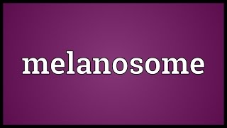 Melanosome Meaning [upl. by Mulcahy]