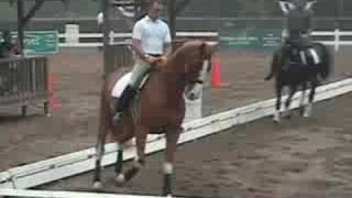 Hallmark and Jeremy Steinberg schooling at Gladstone [upl. by Pittman597]