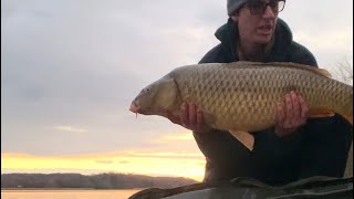 CARP fishing November [upl. by Adnawyt]