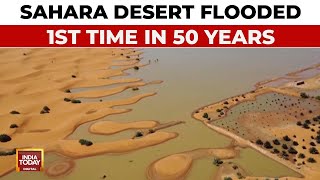 Unprecedented Flooding In Sahara Desert After 50 Years Is It A Climate Change Warning India Today [upl. by Oecile862]