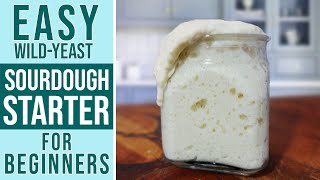 SOURDOUGH STARTER RECIPE  Maintenance Guide  Perfect for Beginners step by step [upl. by Enerod]