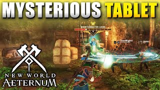 A Most Mysterious Tablet Defeat Quartermaster Leevs New World Aeternum Quest Guide [upl. by Nnainot]