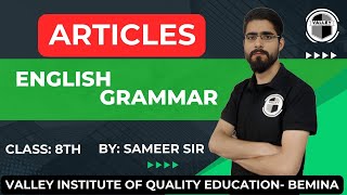 ARTICLES  ENGLISH GRAMMAR  CLASS 8TH  VIQE [upl. by Eilujna43]