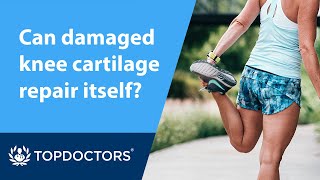 Can damaged knee cartilage repair itself [upl. by Elocim]