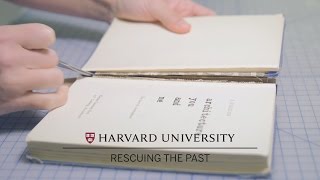 Harvard conservators repair books [upl. by Eirrol]