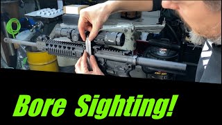 How to bore sight a AR rifle [upl. by Oatis345]