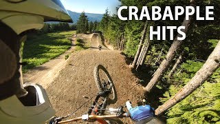 Boosting the BIGGEST Jumps at Whistler  Crabapple Hits  Jordan Boostmaster [upl. by Walcoff]