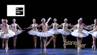 Swan Lake  Het Zwanenmeer  Het Nationale Ballet [upl. by Serrell]