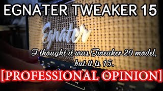 Egnater Tweaker 15 Review Professional Opinion [upl. by Laux]