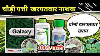 FMC GALAXY  सोयाबीन मे चौड़ी पत्ती खरपतवार नाशक  galaxy herbicide [upl. by Ninnette]