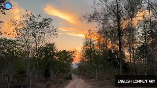 🇹🇭 THAILEX VDO Exploring Wildlife in Kuiburi National Park [upl. by Ynnatirb]