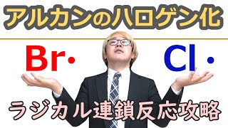 【大学有機化学】アルカンのハロゲン化：ラジカル連鎖反応の基本をマスター！ラジカルの安定性が塩素化・臭素化の違いを決める！！ [upl. by Fenner]