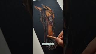 3 TIPS FOR DRAWING ANIMALS ON BLACK PAPER [upl. by Nilek]