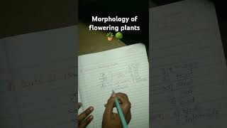 Morphology of flowering plants ☘️ [upl. by Oza]