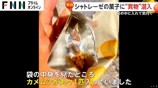 【独自】口から虫の足が…揚げ餅にカメムシ1匹混入か？シャトレーゼ「防虫対策の徹底を図る」パッキング工程で混入と推測 [upl. by Hiro]