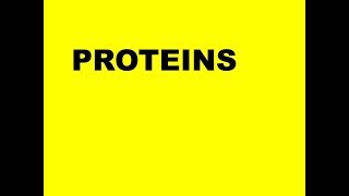 BIOLOGICAL MOLECULES PROTEINS [upl. by Kass]