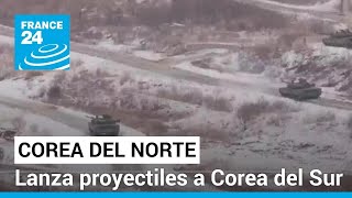 Corea del Norte lanzó más de 200 proyectiles cerca de Corea del Sur • FRANCE 24 Español [upl. by Idelia]