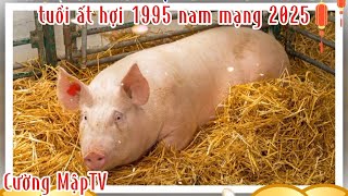 TUỔI ẤT HỢI NAM MẠNG SINH 1995 NĂM 2025  một cách chi tiết nhất và đầy đủ nhất Cường MậpTV [upl. by Audra350]